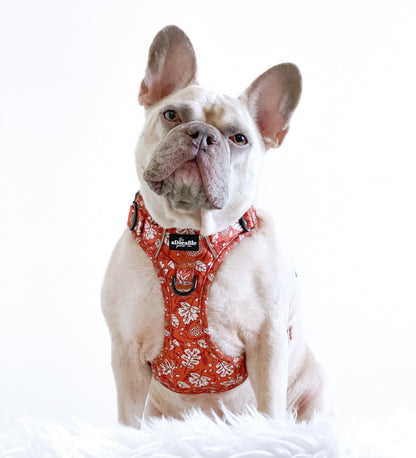 Hike & Go™ Harness - Falling For You