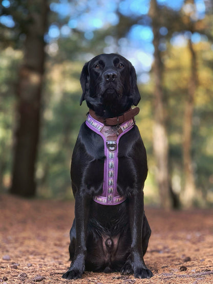 Streamline Pro™ Dog Harness - Moonlit Pines