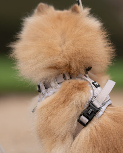 Laura Ashley Dog Harness - Magnolia Grove