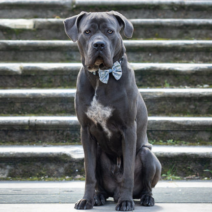 Dog Sailor Bow Tie - Willow Waters