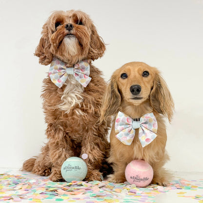 Sailor Bow Tie - Speckled Eggs