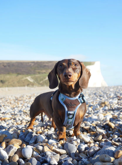 Streamline Pro™ Dog Harness - Daydream Heights