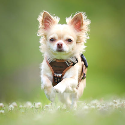 Streamline Pro™ Dog Harness - Heritage Collection - Butterscotch Biscuit