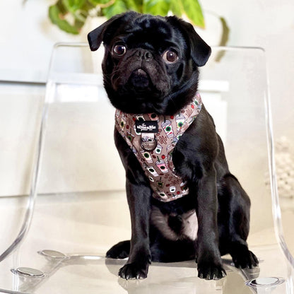 Adjustable Harness - Starbarks Frappé Hour - Large