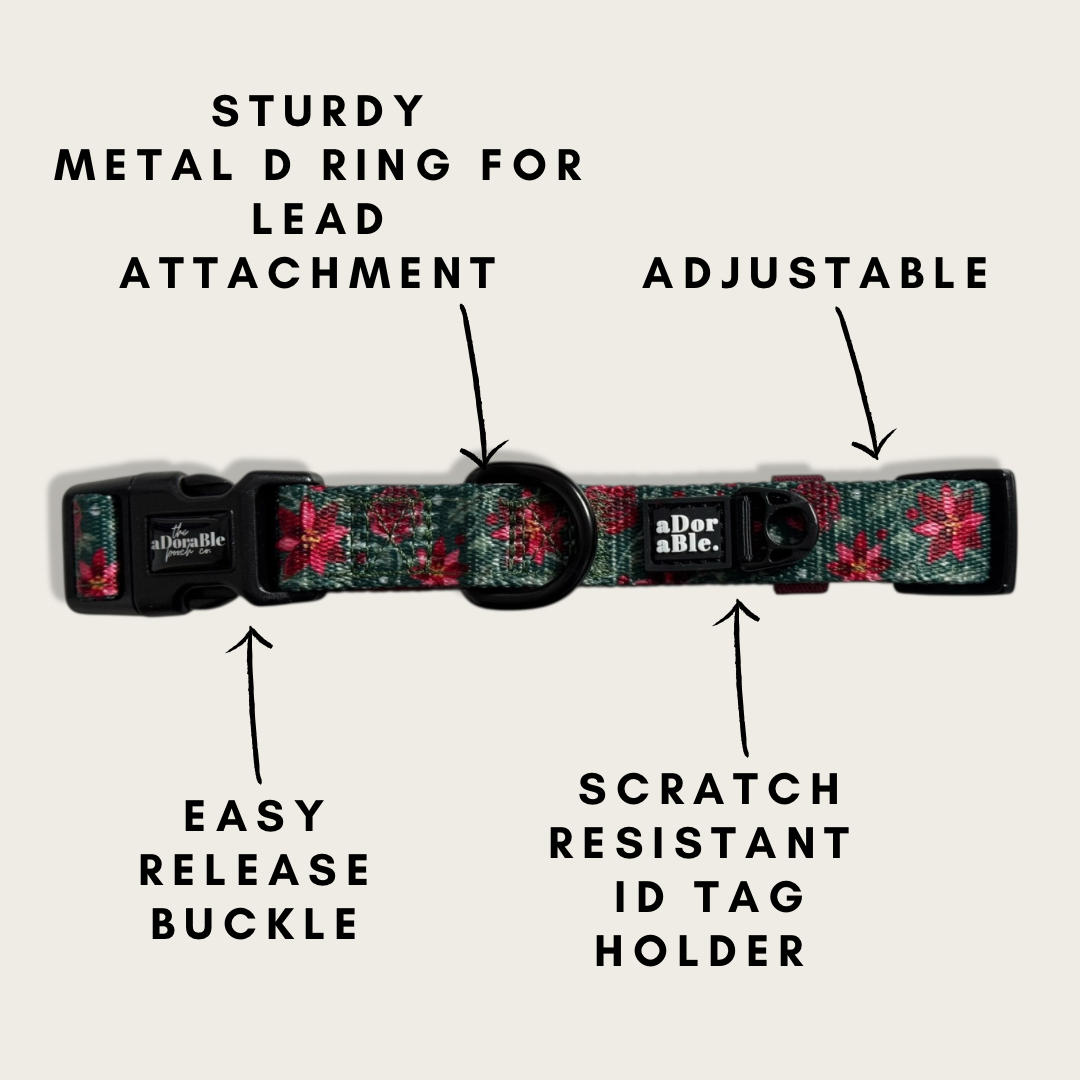 Collar - Holly & Ivy