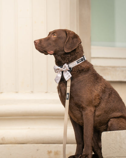 Laura Ashley Dog Collar - Magnolia Grove
