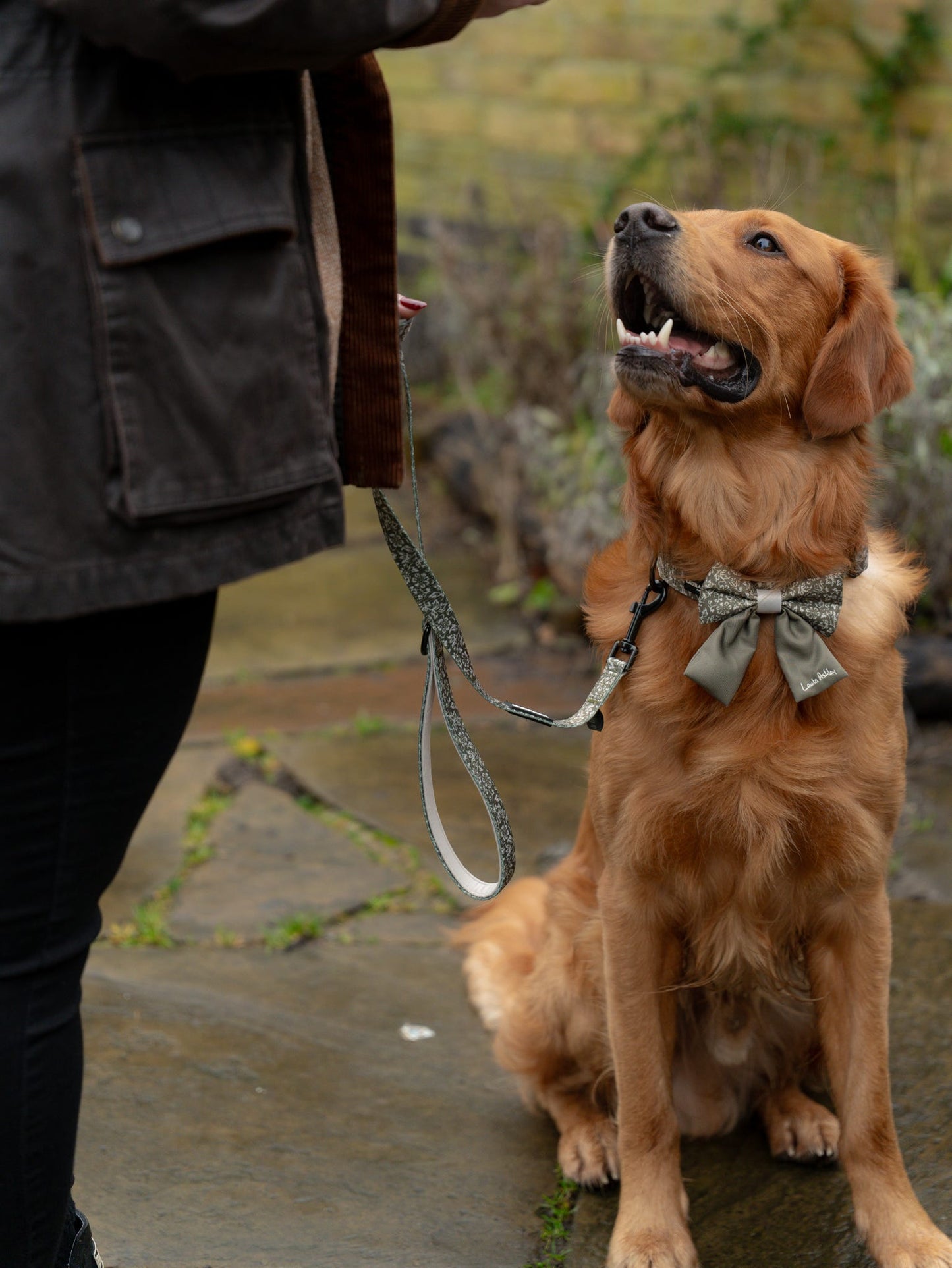 Laura Ashley Dog Sailor Bow Tie - Sweet Alyssum