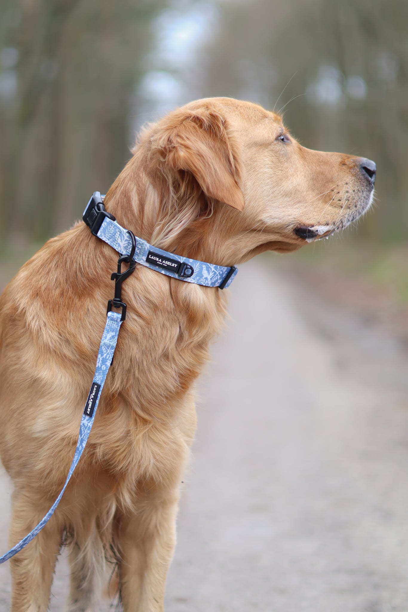 Laura Ashley Dog Collar - Shepherd's Purse
