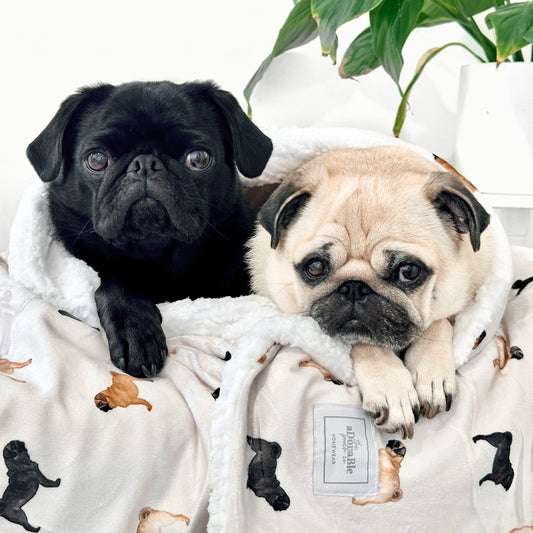 Extra Large Dog Breed Blanket - Pug