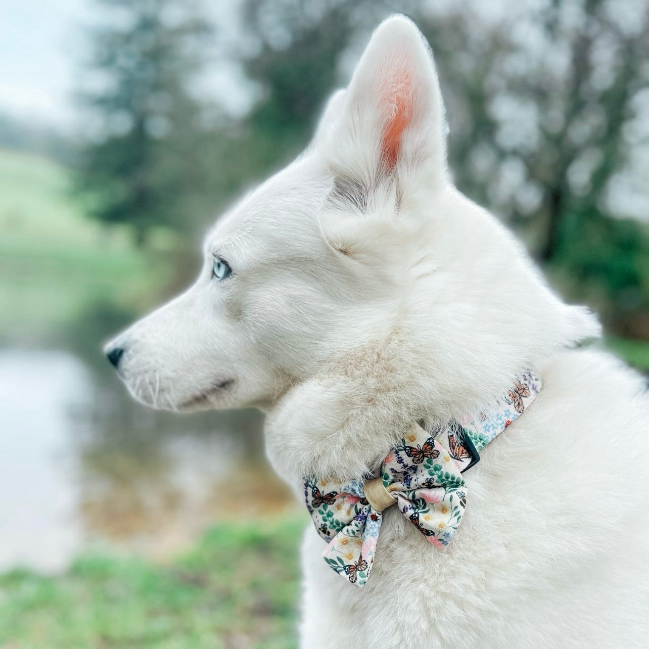 Sailor Bow Tie - Bumbles & Butterflies