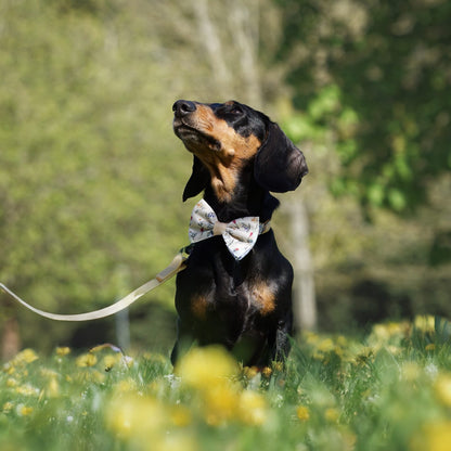 Dog Dickie Bow Tie - Spring Garden