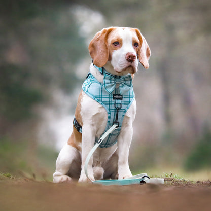 Adjustable Harness - LUXE Frosted Mint Plaid