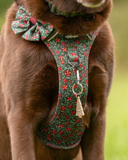 Hike & Go Lite™ Harness - Holly & Ivy