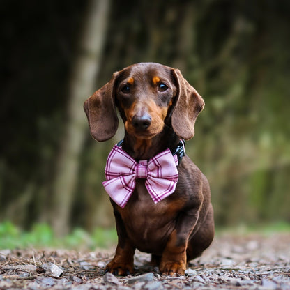 Sailor Bow Tie - LUXE Rose Quartz Plaid