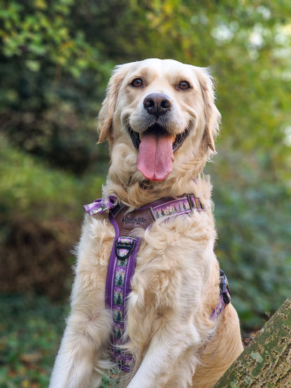 Streamline Pro™ Dog Harness - Moonlit Pines