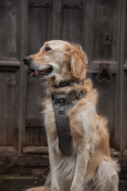 Laura Ashley Dog Collar - Sweet Alyssum