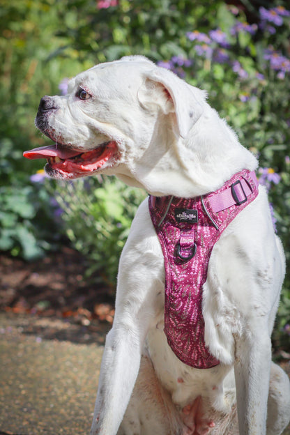 Hike & Go™ Harness - Highland Heather