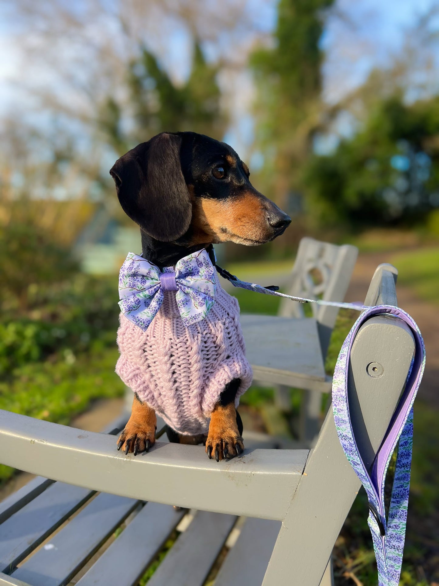 Sailor Bow Tie - Wisteria Waltz