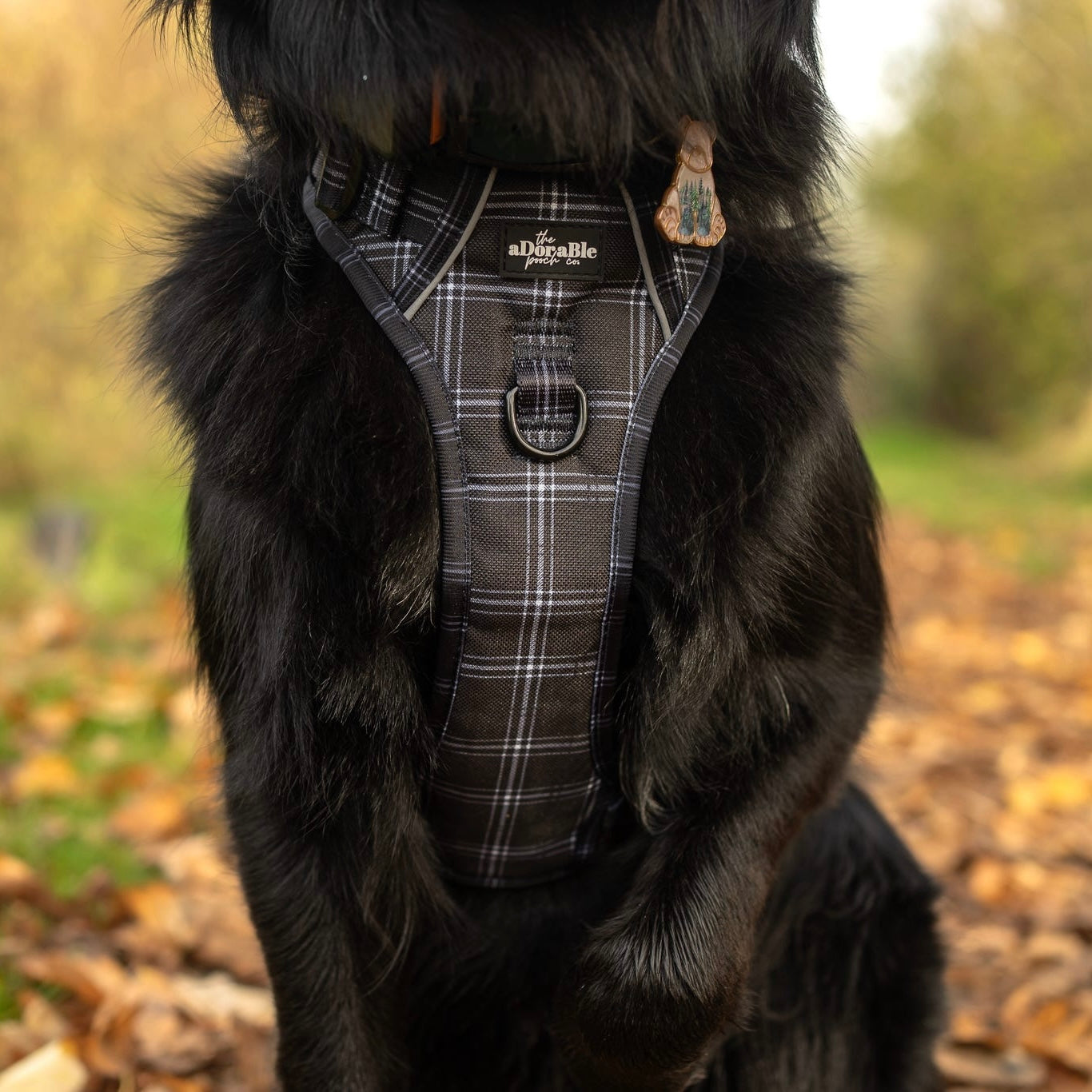 Hike & Go™ Harness - LUXE Noir Plaid