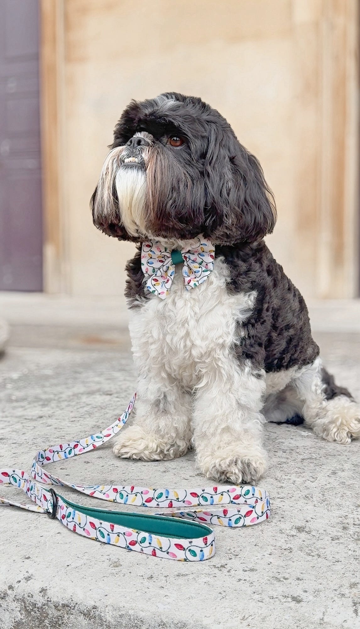 Sailor Bow Tie - Festive Lights
