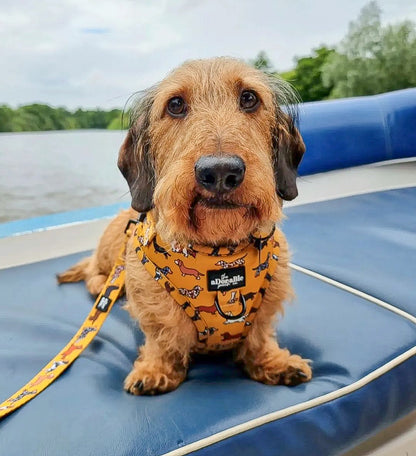 Adjustable Harness - Dashing Dachshunds