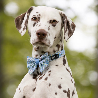 Dog Sailor Bow Tie - Flourishing Forget-Me-Nots