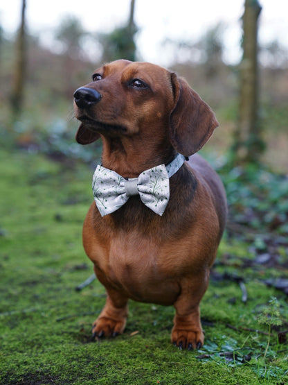 Dog Bow Tie - Silent Snowdrops