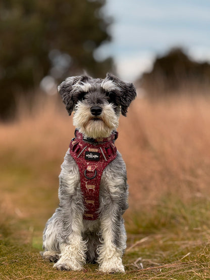 Hike & Go Lite™ Harness - Winter Fawn