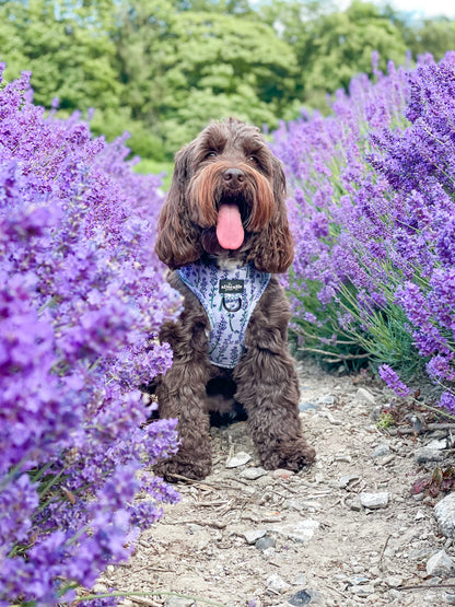 Adjustable Harness - Lavender Haze - XS - SECONDS