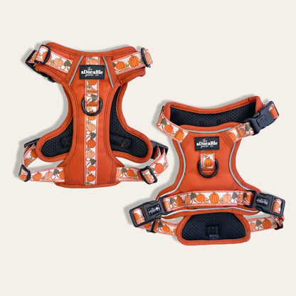 Hike & Go™ Harness - Pumpkin Fields