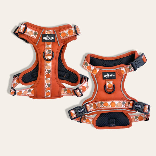 Hike & Go™ Harness - Pumpkin Fields