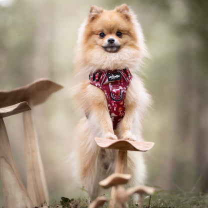 Hike & Go Lite™ Harness - Mulberry Mushrooms