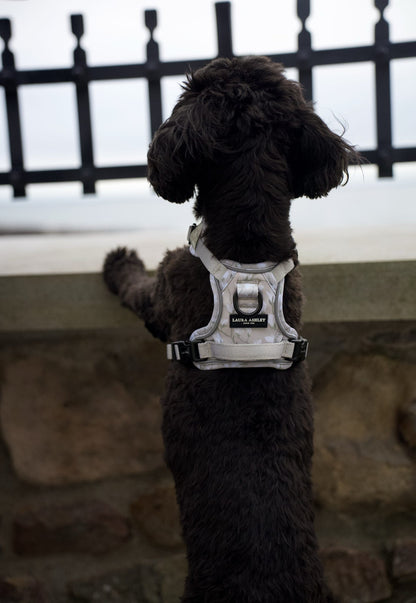 Laura Ashley Dog Harness - Magnolia Grove