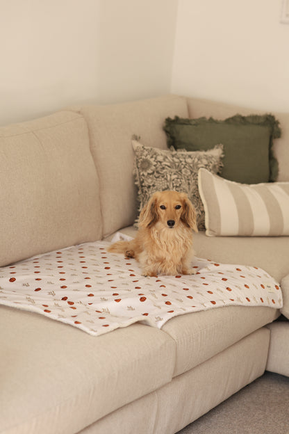 Dog Bed Blanket - Pumpkin Farm