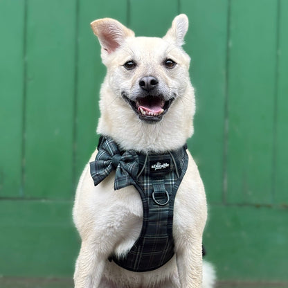 Sailor Bow Tie - LUXE Hunter Green Plaid