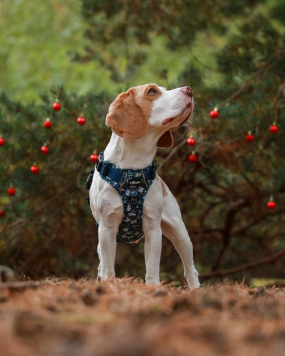 Hike & Go Lite™ Harness - Twelve Days