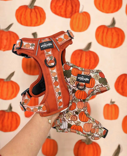 Hike & Go™ Harness - Pumpkin Fields