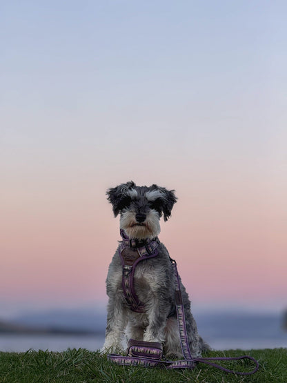 Streamline Pro™ Dog Harness - Moonlit Pines