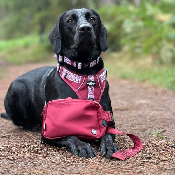 Slimline Everyday Bumbag - Dark Cherry Red