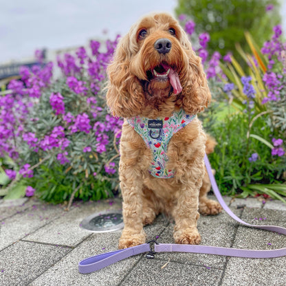 Adjustable Harness - Wildflower Meadow