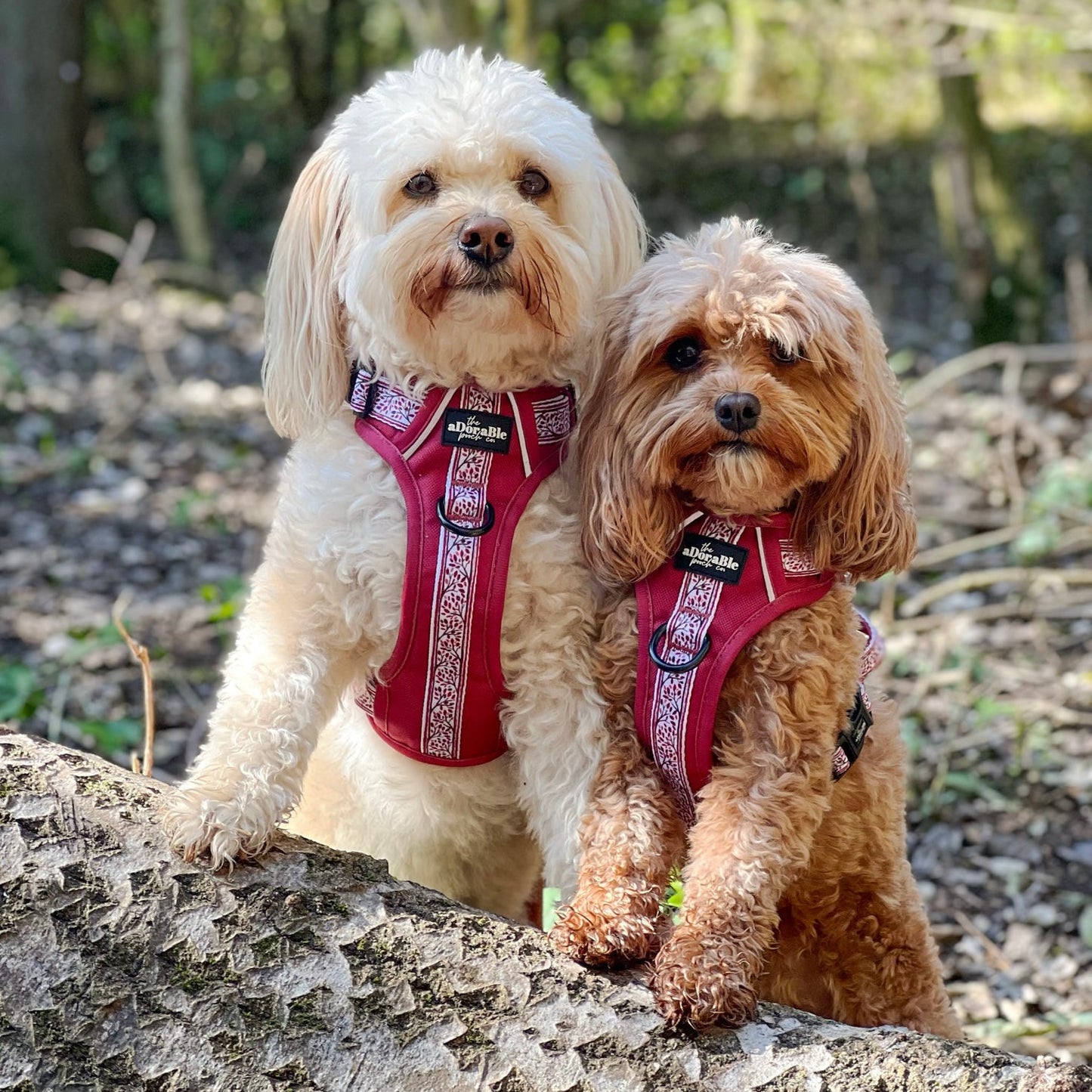 Hike & Go™ Harness - Cherrywood Ivy