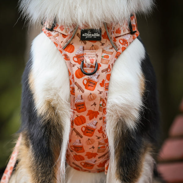 Hike & Go Lite™ Harness - Pumpkin Harvest