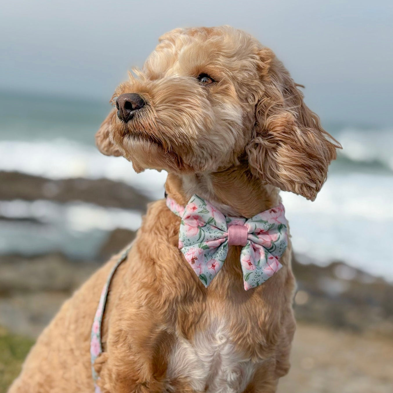 Sailor Bow Tie - Peony Petals