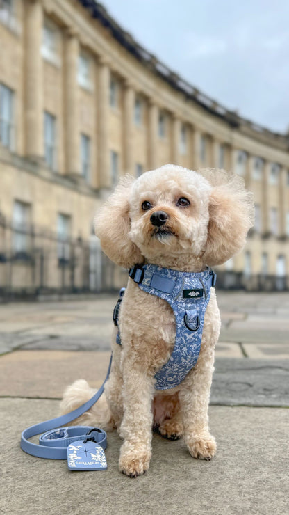 Laura Ashley Dog Harness - Shepherd's Purse