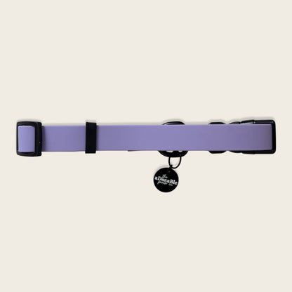 HydroFlex Lite™ Dog Collar - Lavender