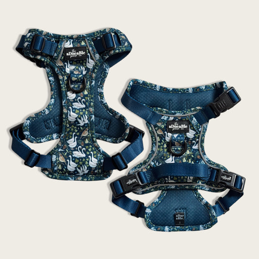 Hike & Go Lite™ Harness - Twelve Days