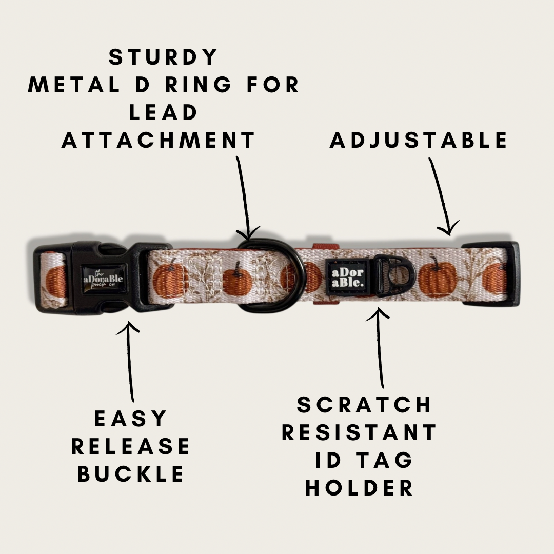 Collar - Pumpkin Farm