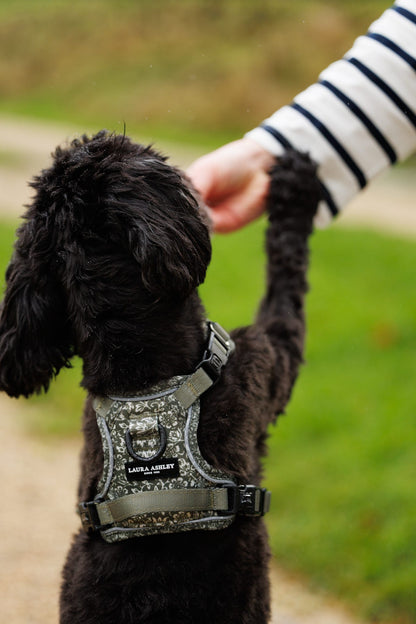 Laura Ashley Dog Harness - Sweet Alyssum