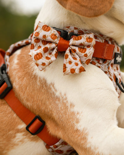 Dog Sailor Bow Tie - Pumpkin Farm