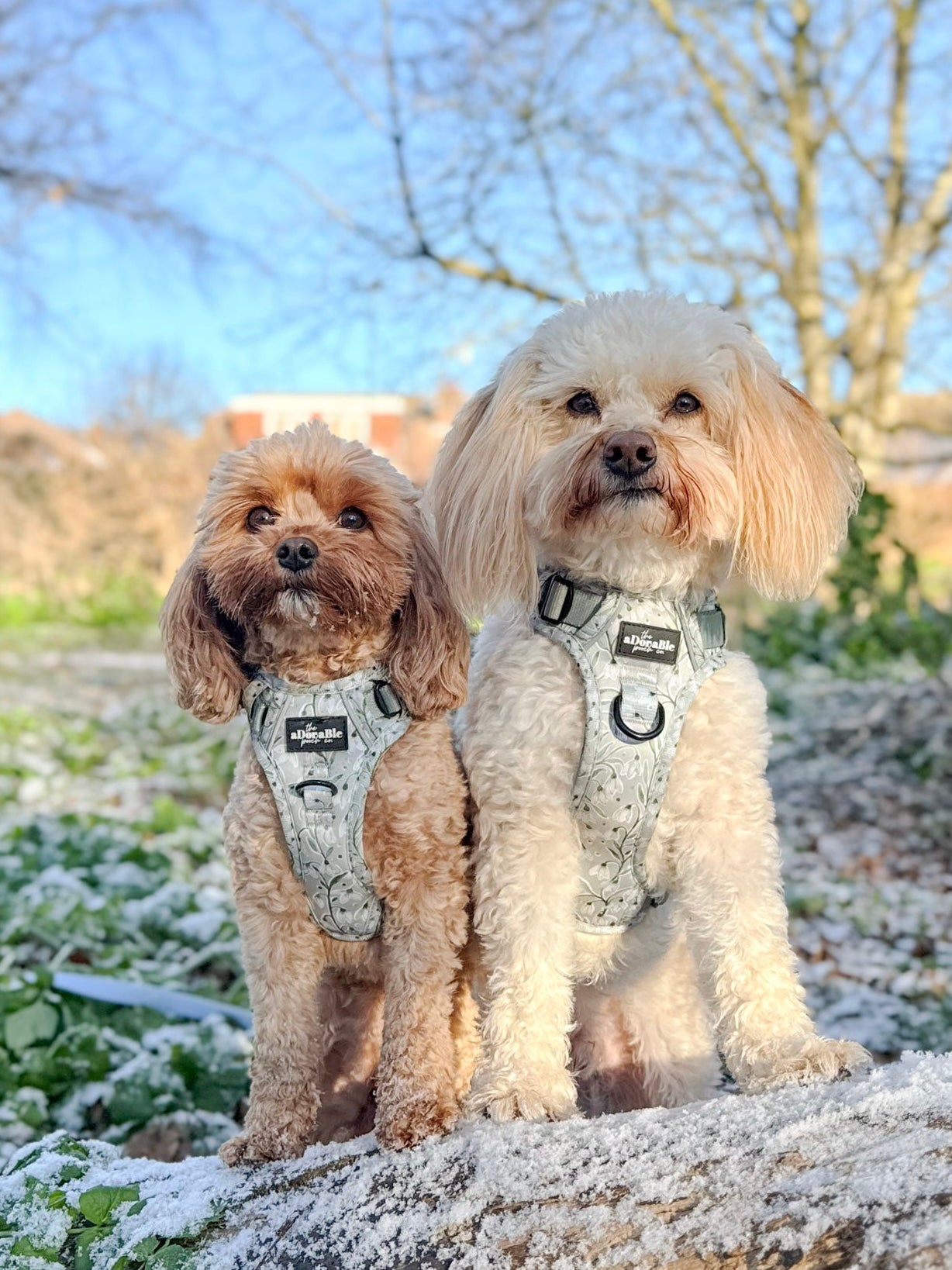 Hike & Go Lite™ Harness - Silent Snowdrops